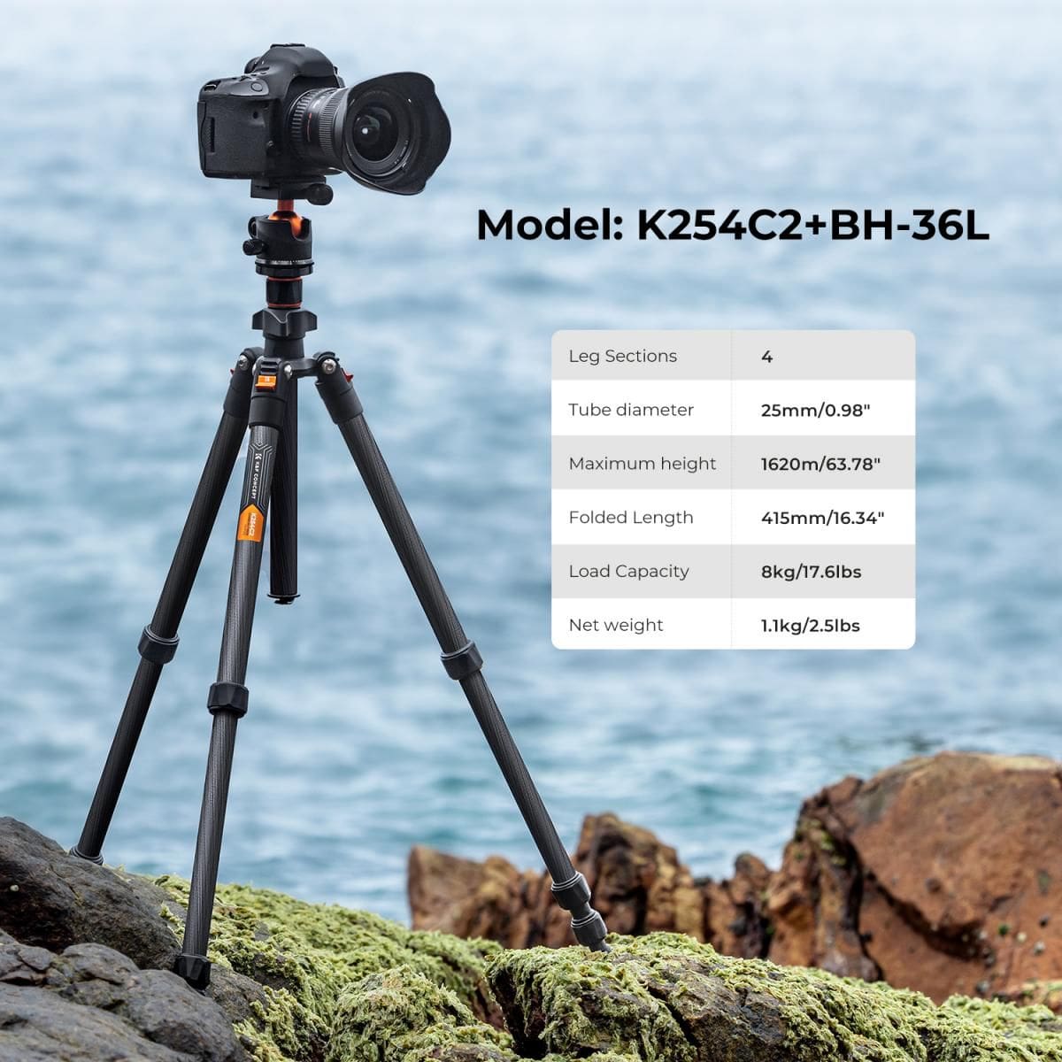 K&F Concept K254C2+BH-36L X-Series Carbon Fiber Tripod with Ball Head (KF09.123) - Image 2
