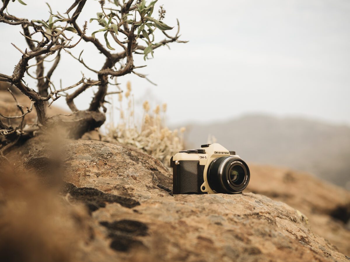 Olympus OM-5 II body sand beige, BLS-50 Battery, Eyecup, USB Connection Cable, Shoulder Strap - Image 8