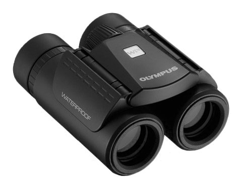 Alternative view of Olympus 10x21 RC II WP Black Compact Binoculars