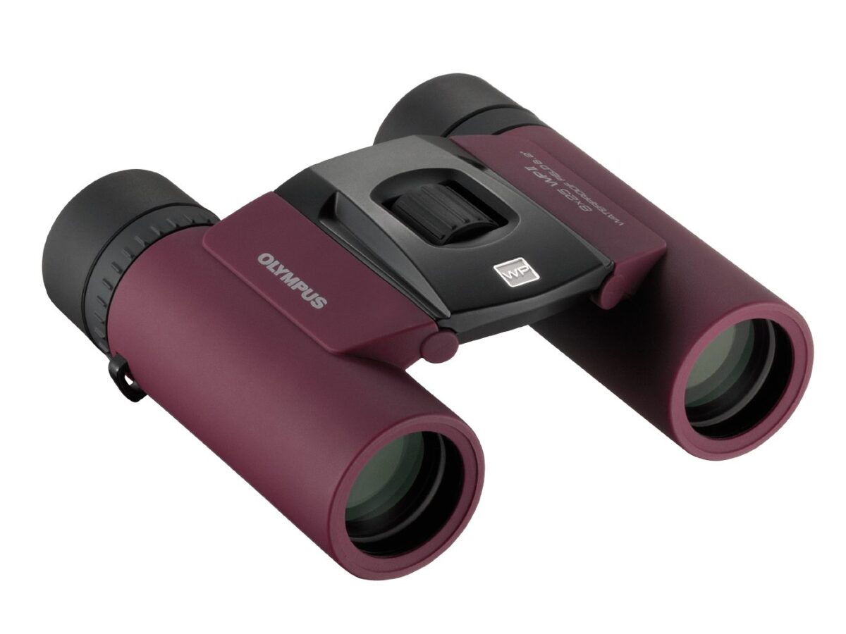 Olympus 8X25 WP II PURPLE Binoculars