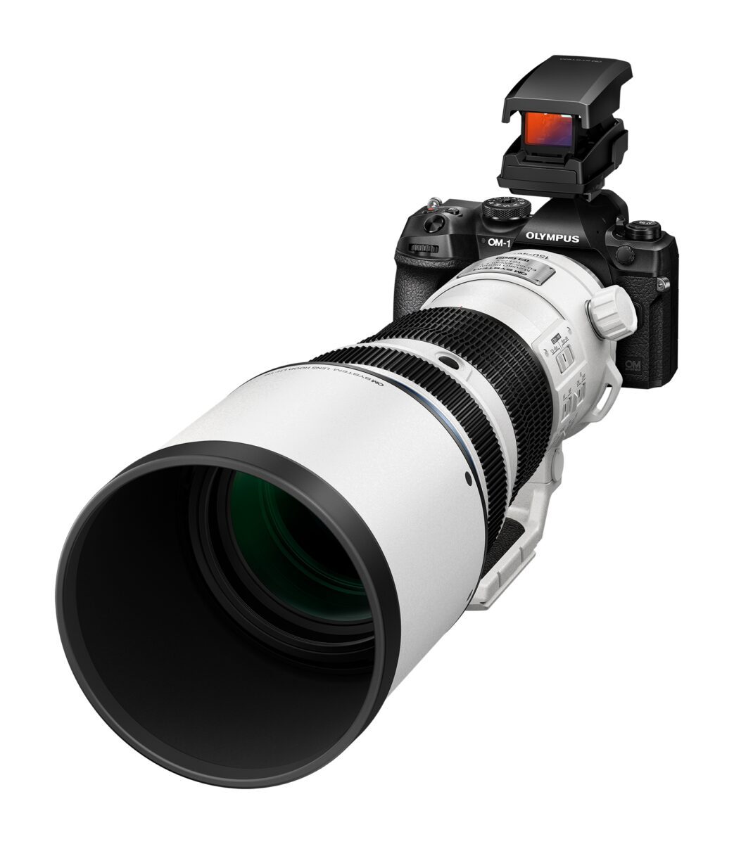 Olympus M.ZUIKO DIGITAL ED 150-400mm F4.5 TC1.25x IS PRO - Image 10